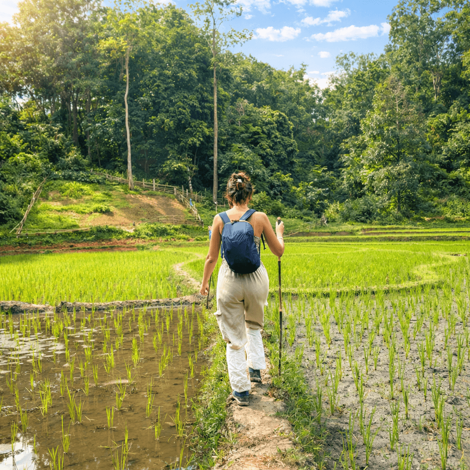 2 Days / 1 Night Nature & Culture Escape (South of Chiang Mai) PRIVATE GROUP 1