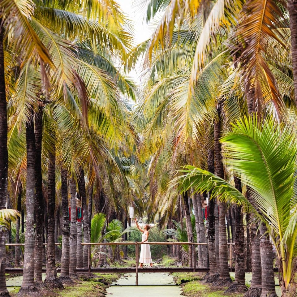Coconut Market + Waterfall Trek (Private Tour guide) 1