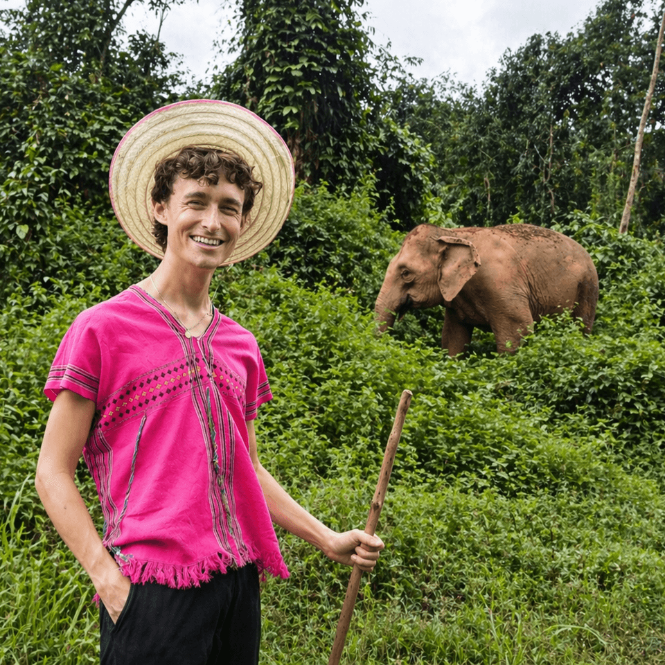 Full Day Ethical Elephant Sanctuary & Waterfall : Chiang Mai 1