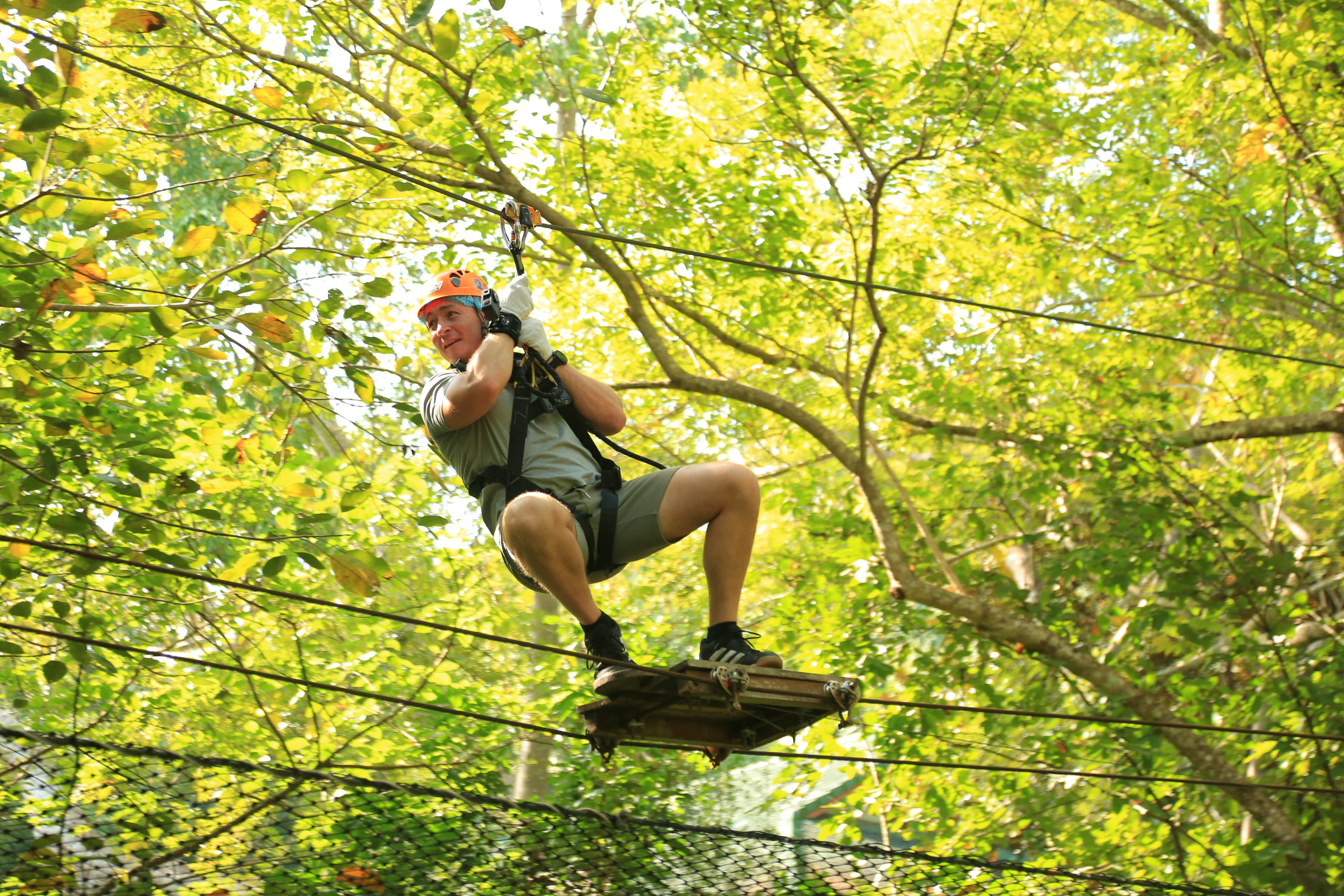 Rainforest Challenge - High Ropes Course : Program M