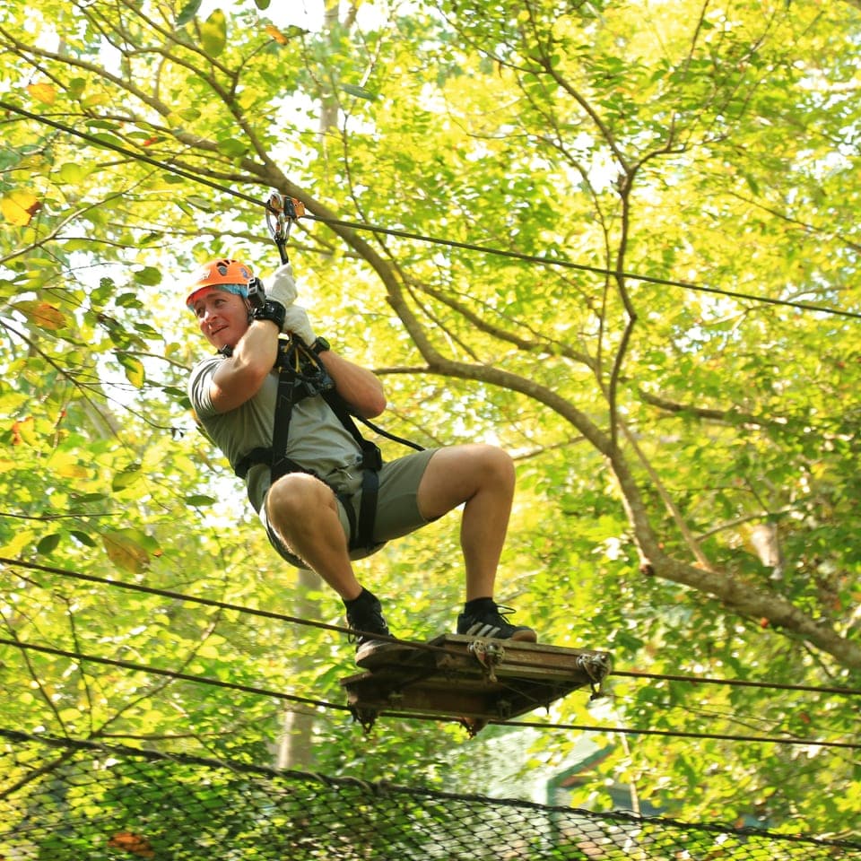 Rainforest Challenge - High Ropes Course : Program M 1