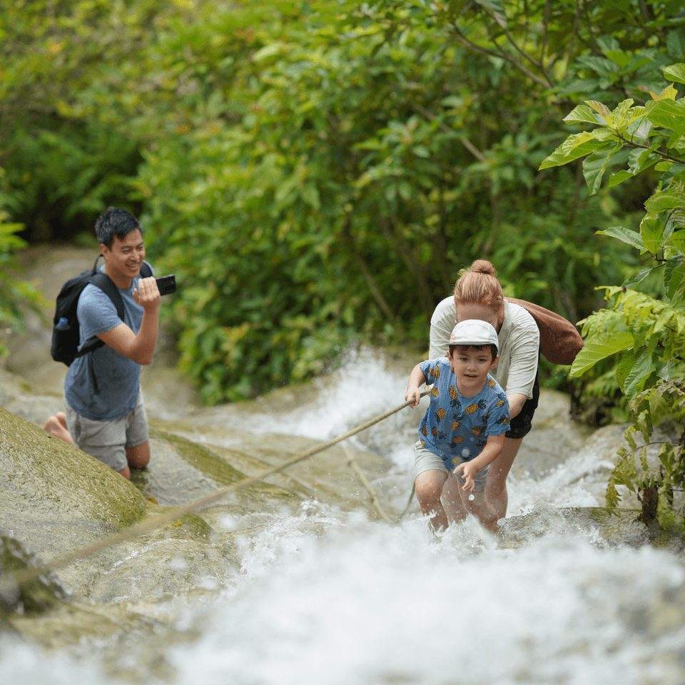 Chiang Mai: Bua Tong Sticky Waterfall, Huge Cave Included Thai Lunch Buffet 1