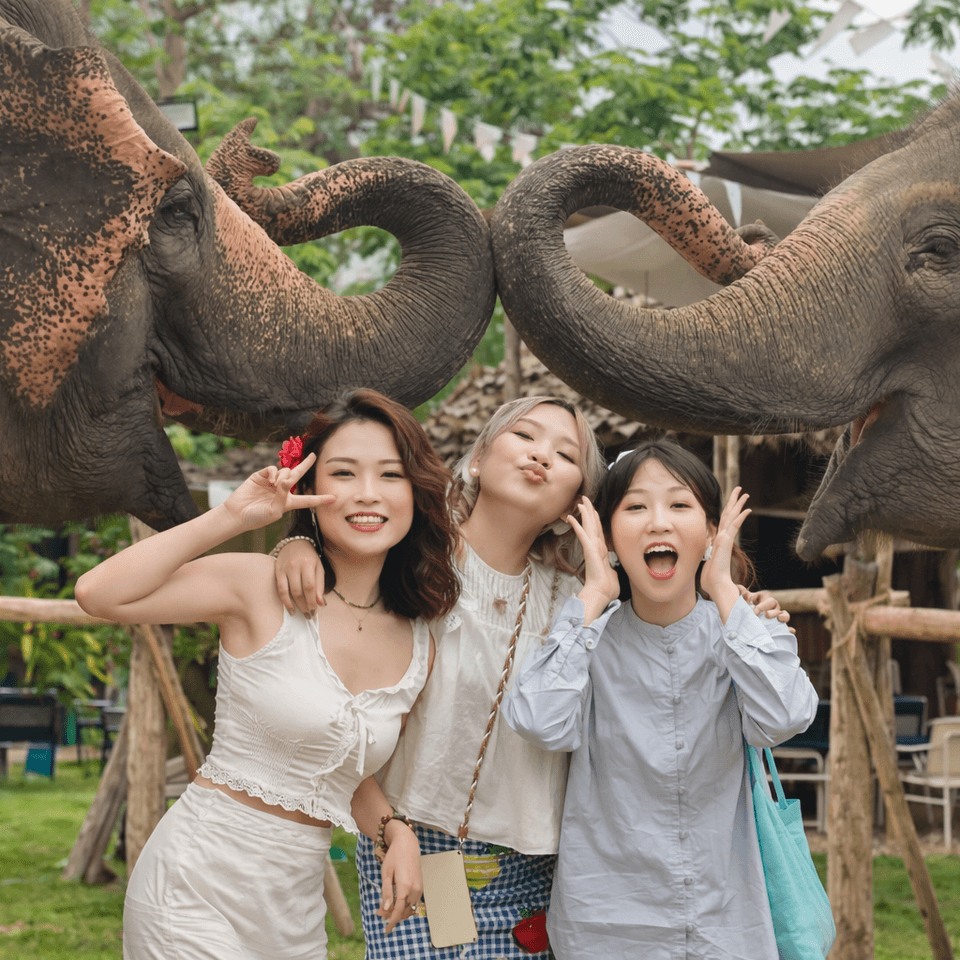 Elephant Café & Sticky Waterfall Half-Day Experience (Join Tour) 1