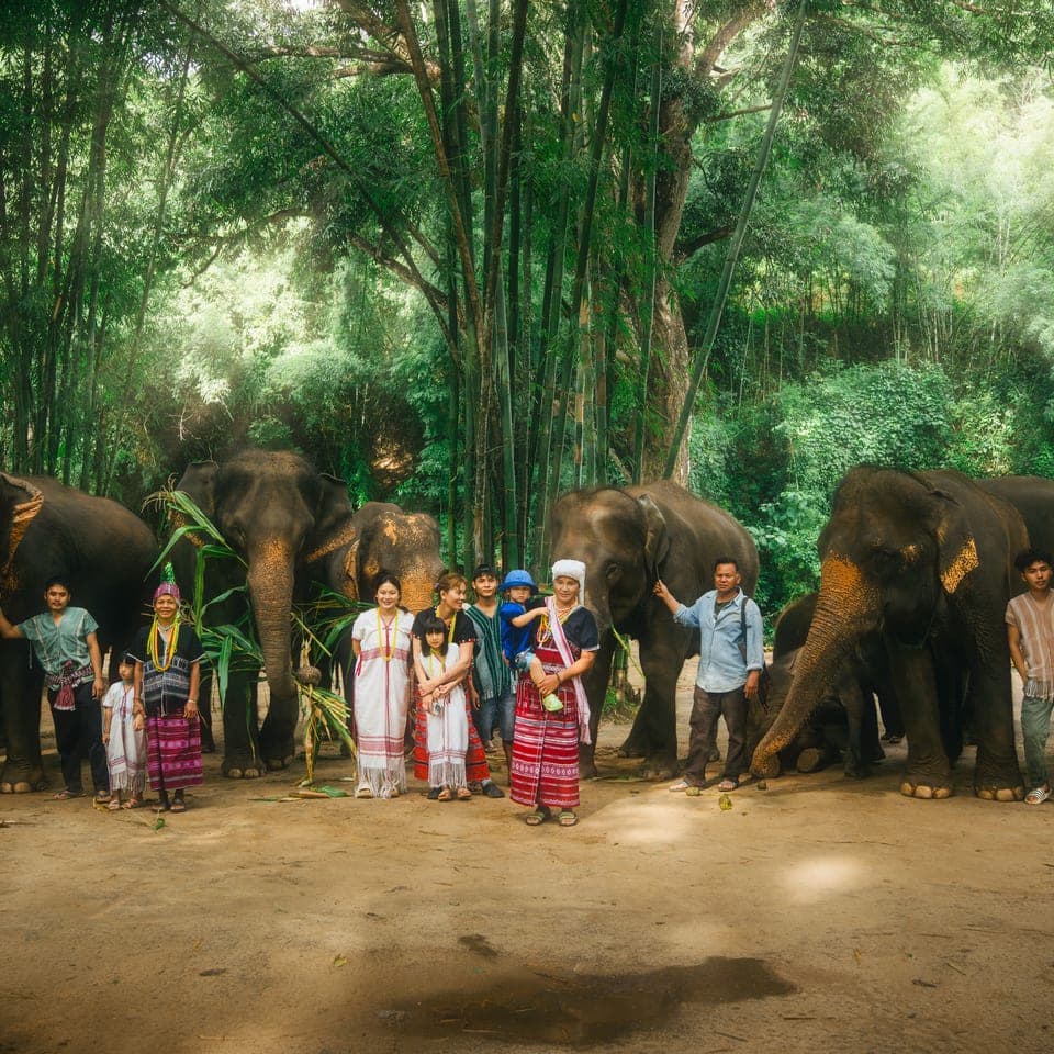 Kerchor Karen Community Elephants : Elephant Exclusive 1