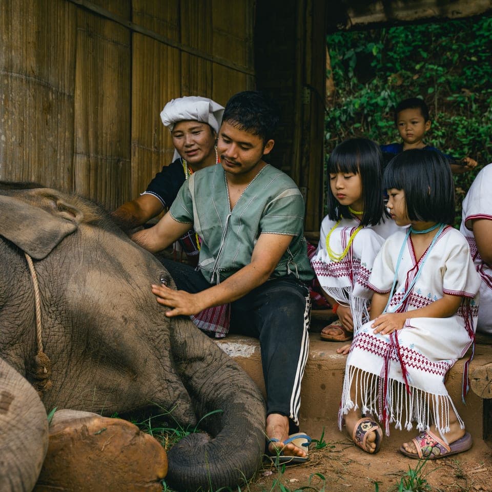 Kerchor Karen Community Elephants : Full day tour 1