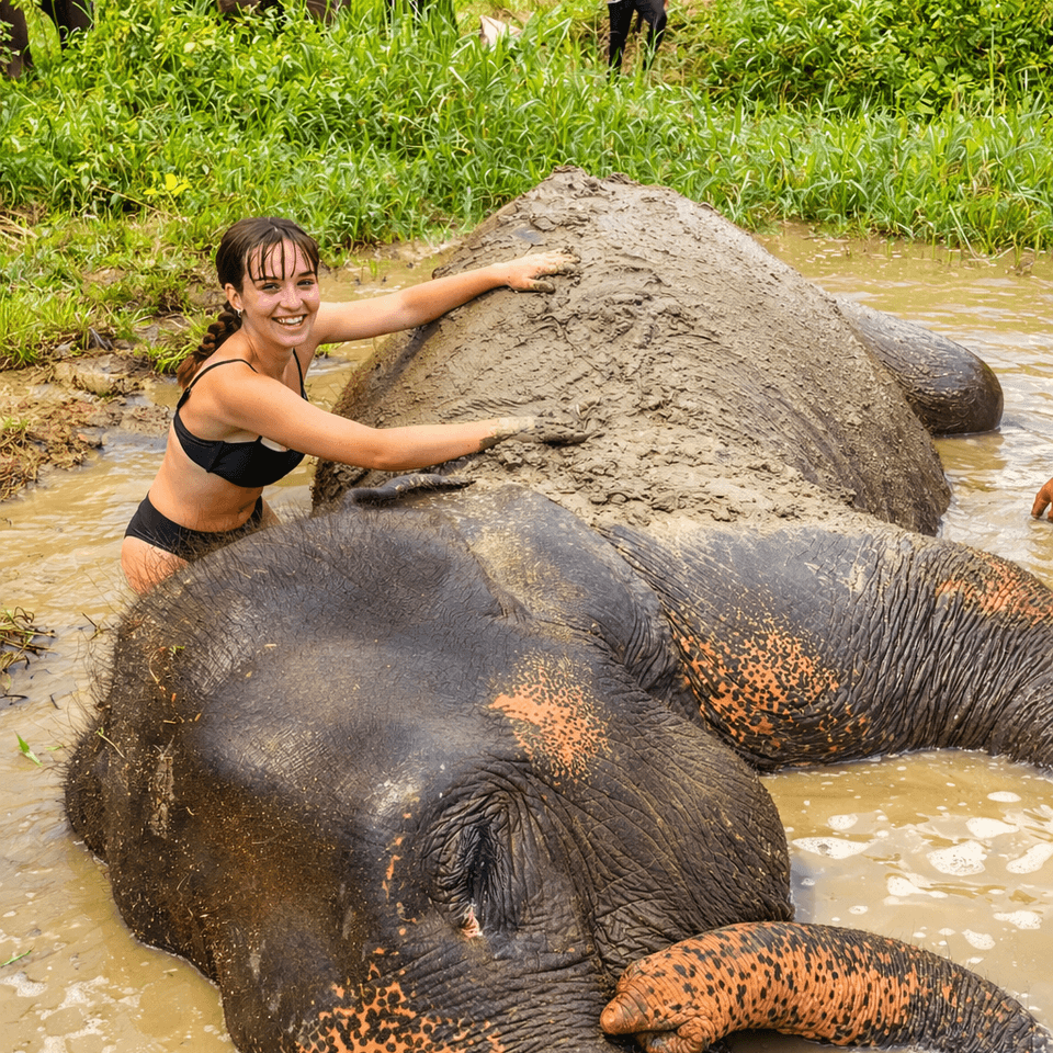 One Day Elephant Care 1