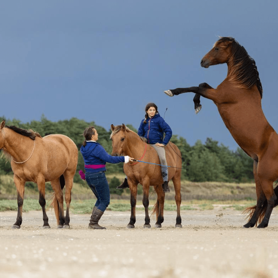 Bay of Somme on horseback: More than just riding, a connection 1