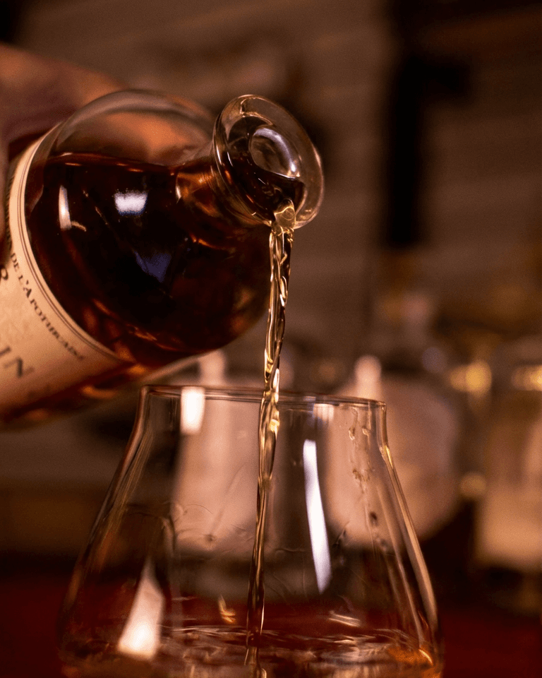 Sensory Escape: Aperitifs, Flavors, Rums & Spirits 1