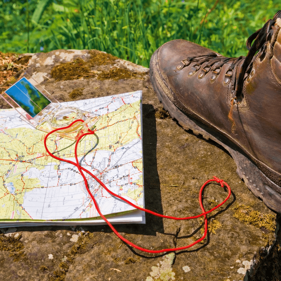 Explore the forest in a different way - Scavenger hunts & orienteering 1