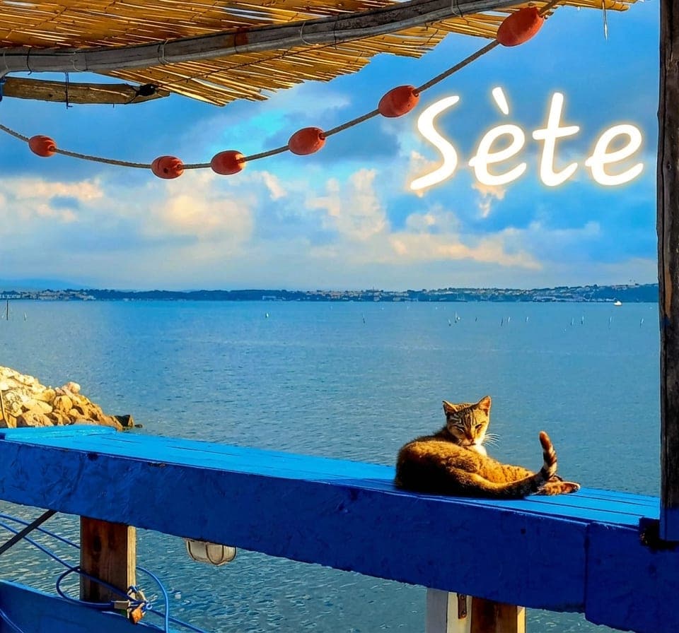 A typical tour of Sète with Arnaud, a true local! 1