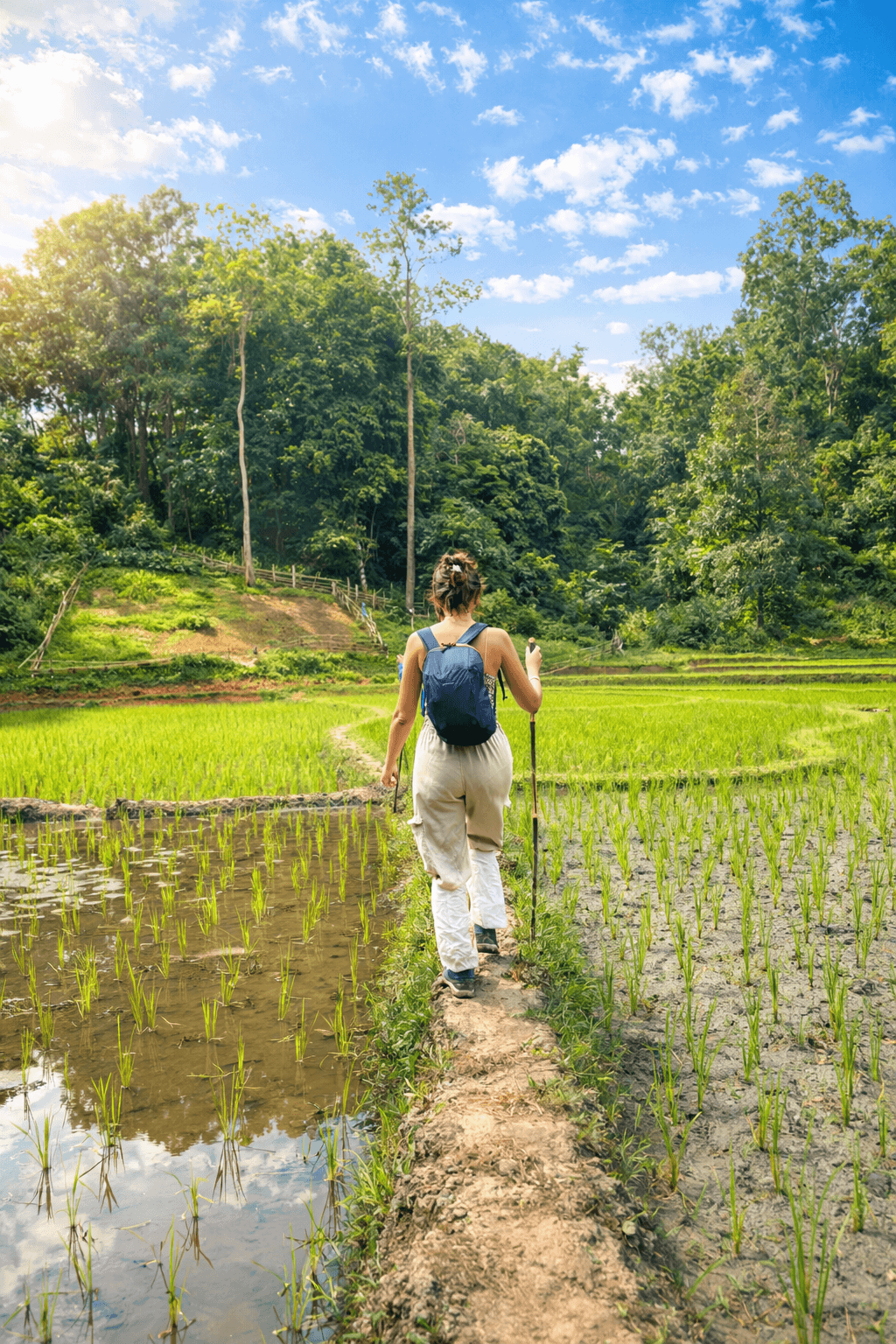 2天1晚自然文化之旅(清迈南部)私人团
