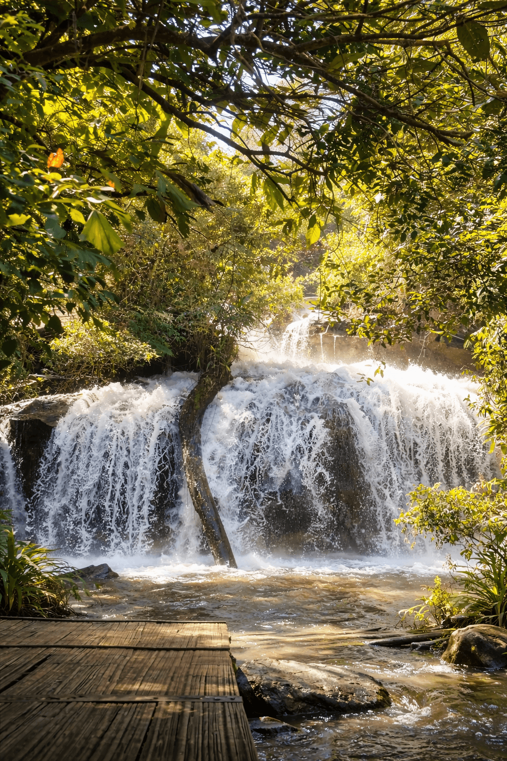 2天1夜丛林徒步、瀑布和乡村体验(清迈南部)团队游