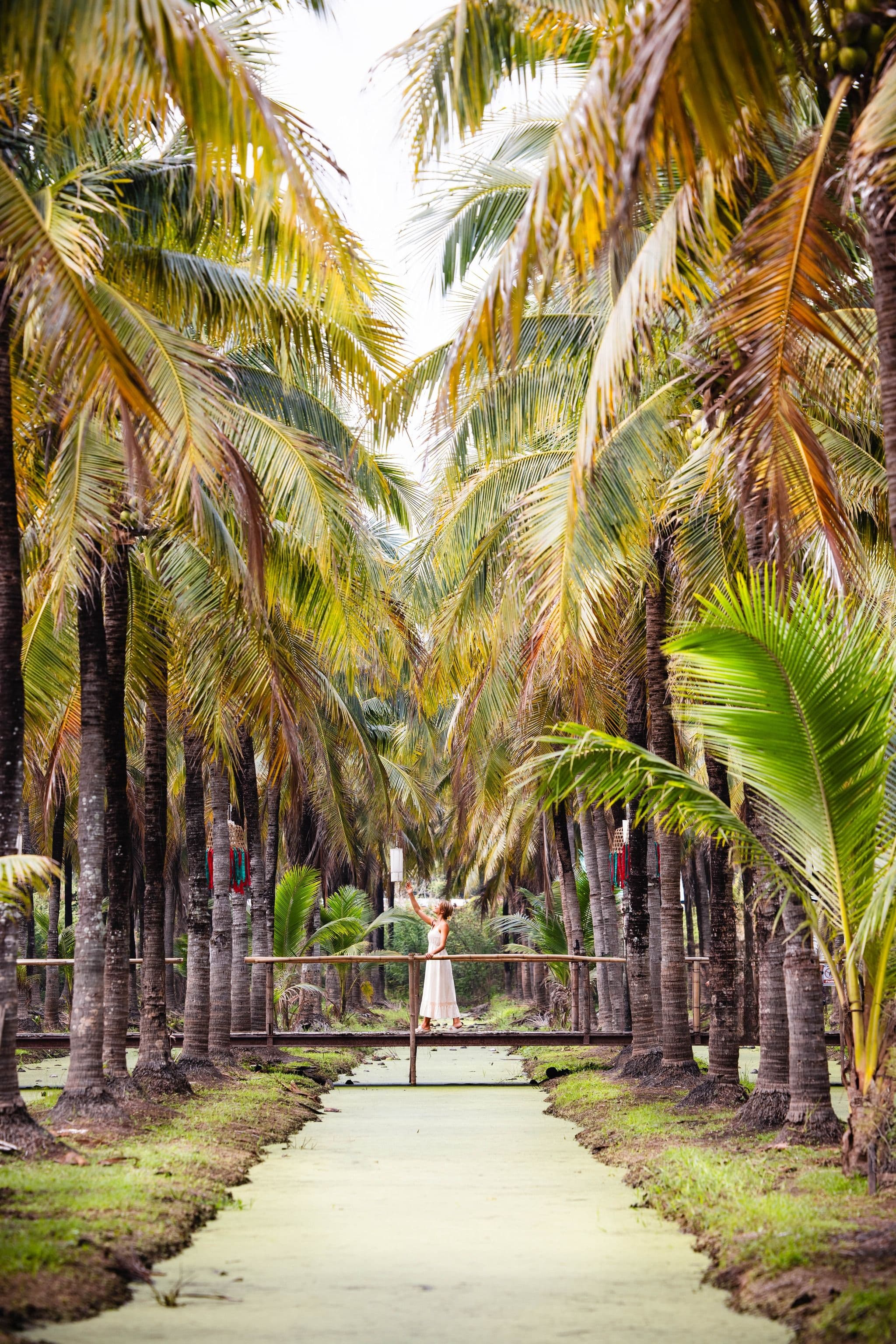 Half-Day Waterfall Trek + Coconut Market (Private Tour)