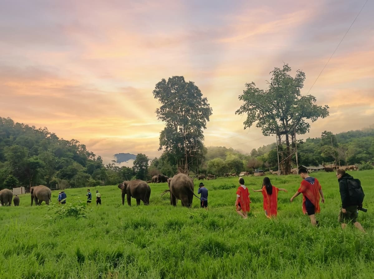 A Day with Elephants : Ethical Care Experience