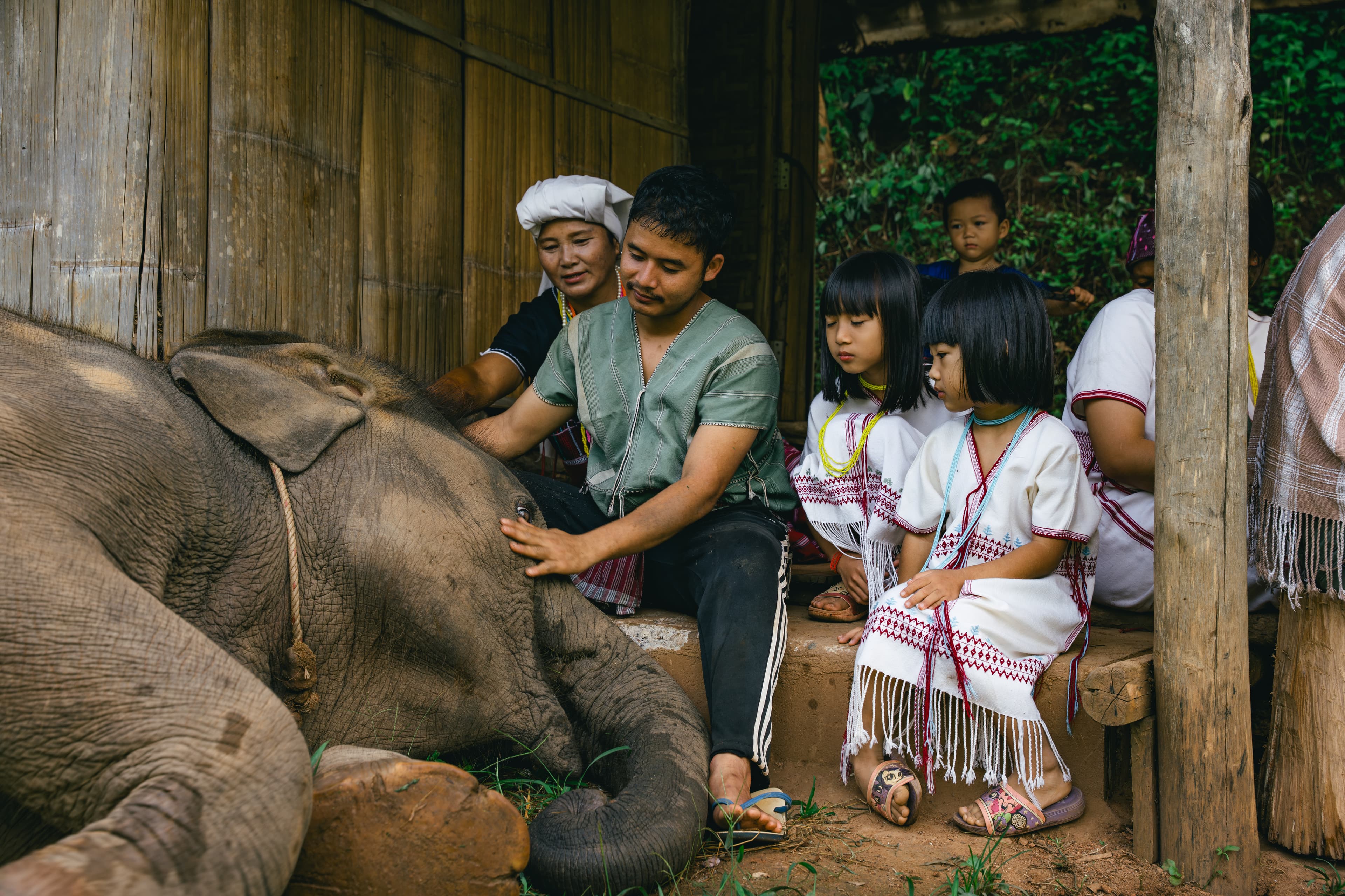Kerchor Karen Community Elephants : Full day tour