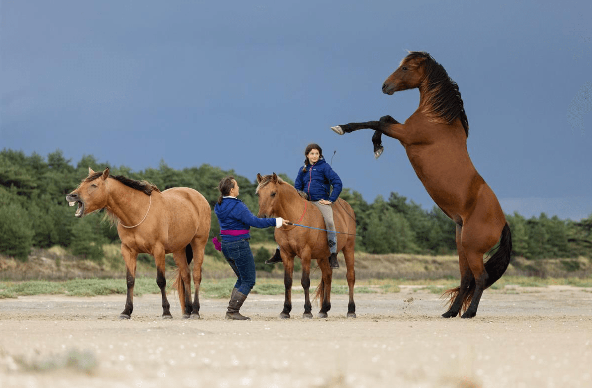 Bay of Somme on horseback: More than just riding, a connection