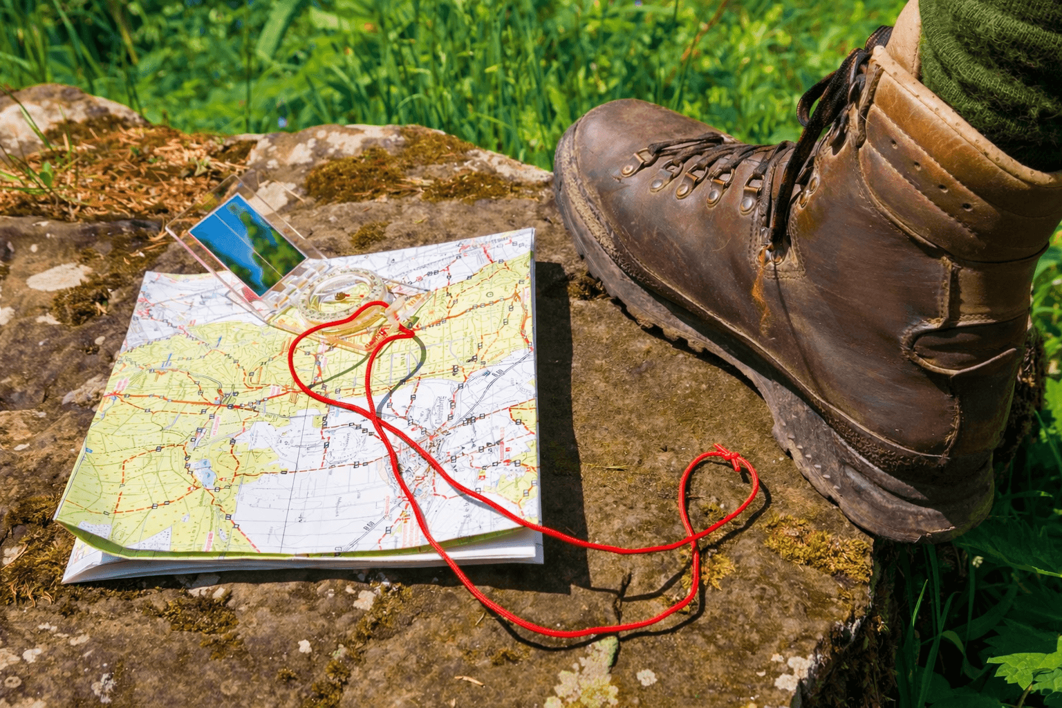 Explore the forest in a different way - Scavenger hunts & orienteering