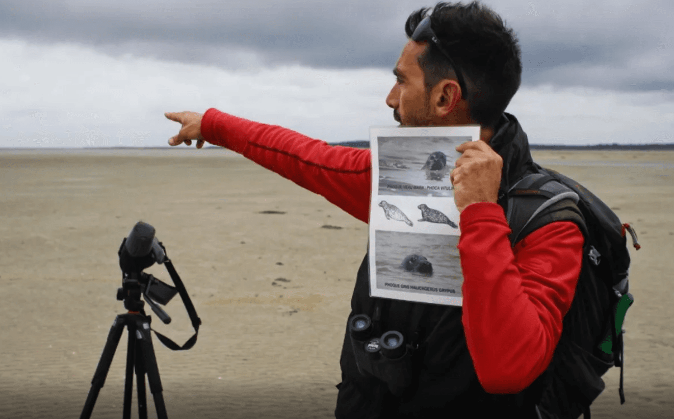 Immersion in the heart of the Bay