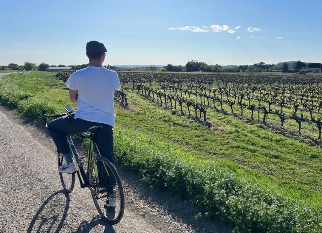 Montpellier: Guided Nature Walk / Lake Crès by Electric Bike