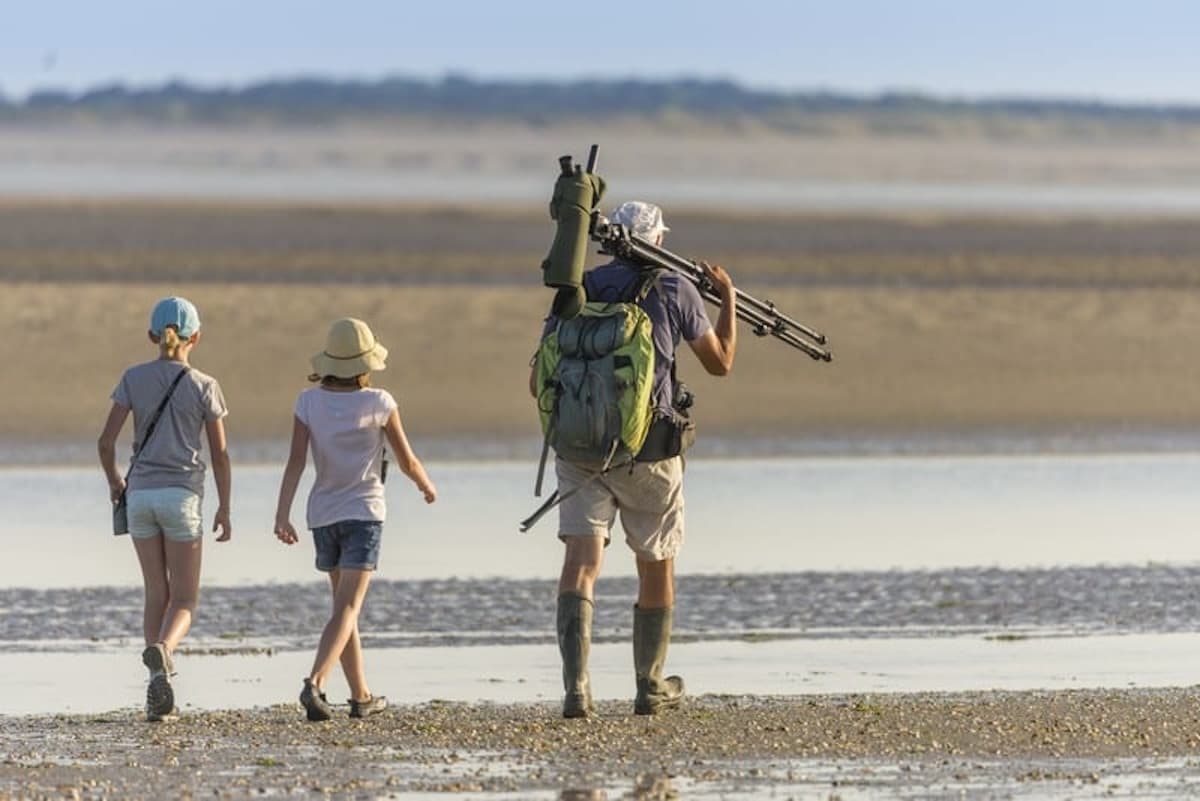 Walk in the Bay of Somme