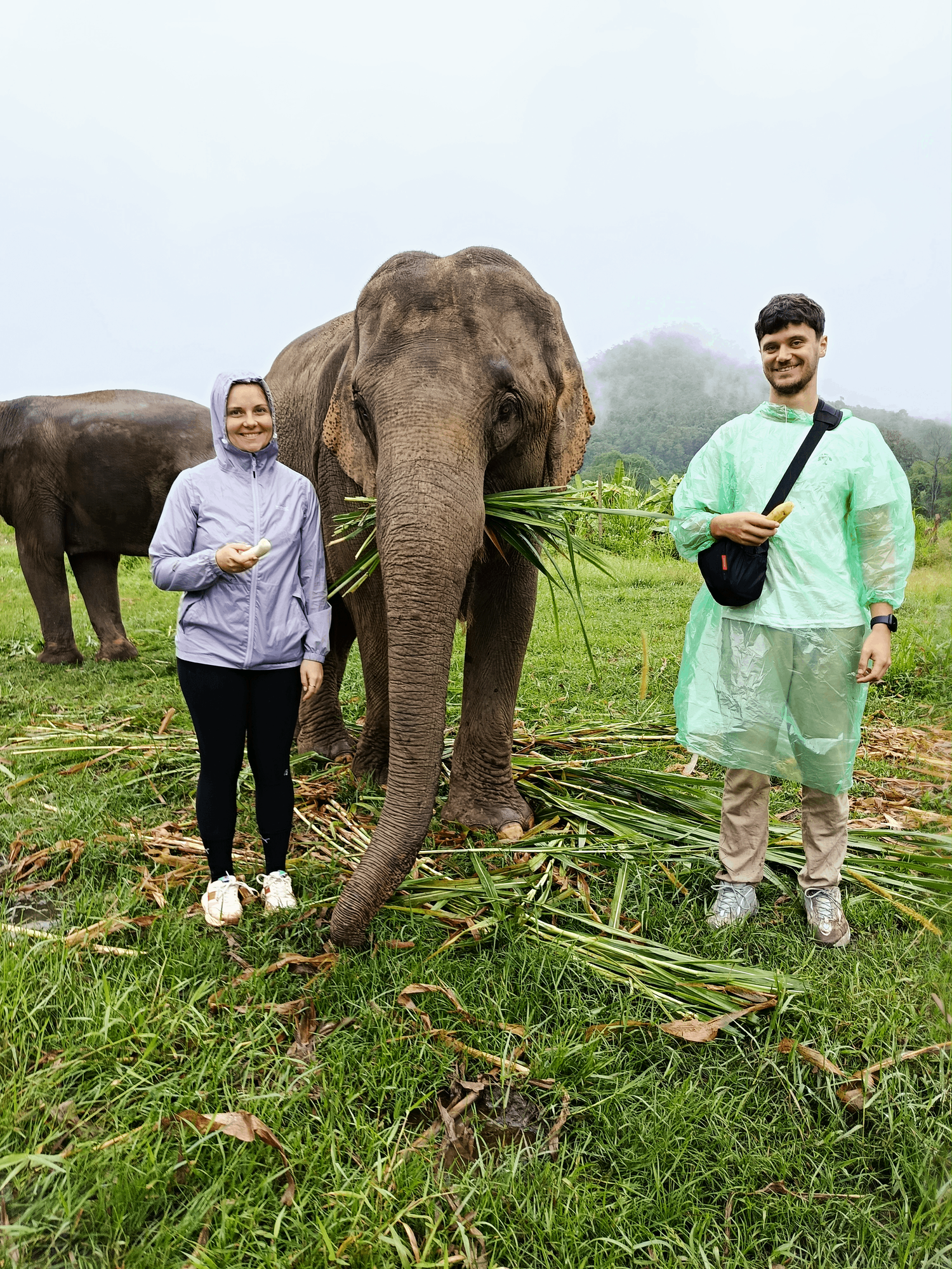 Au cœur de la jungle authentique (hors tourisme) : région de Mae Jam (excursion d'une journée)