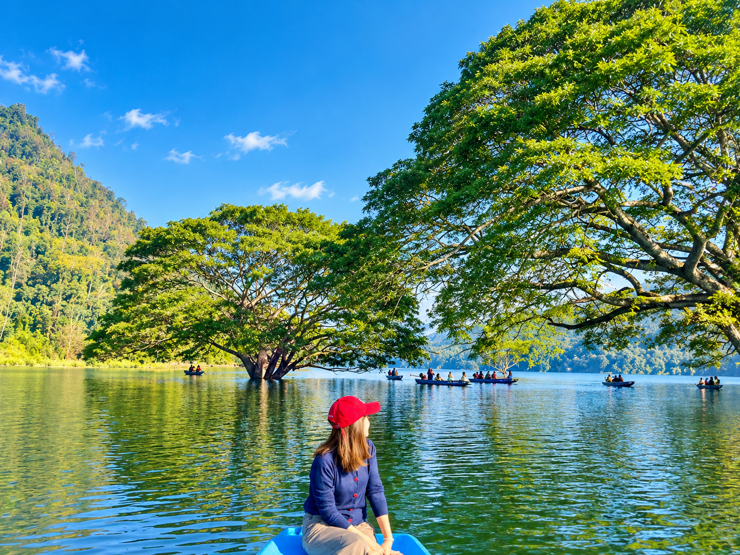 Longtail boat passing beneath the wide canopy of the rain tree