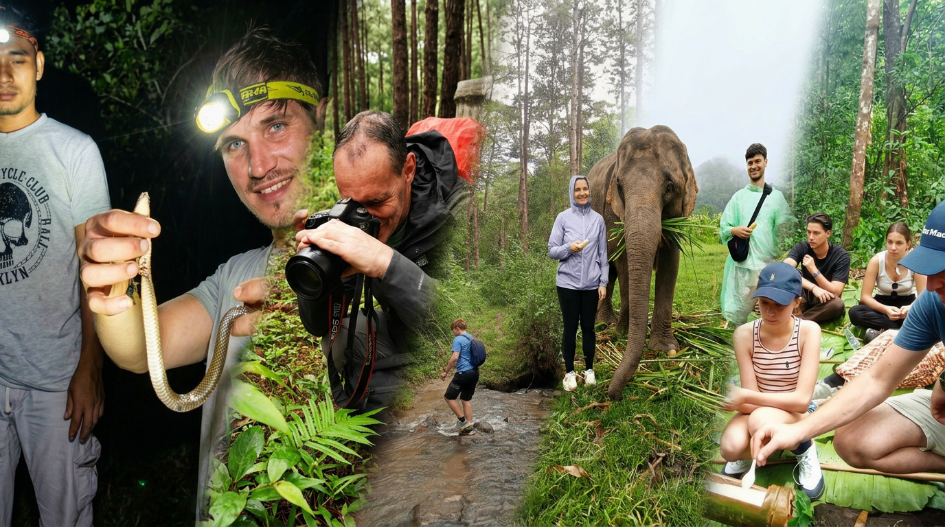 Explorer les sentiers de la jungle de Chiang Mai